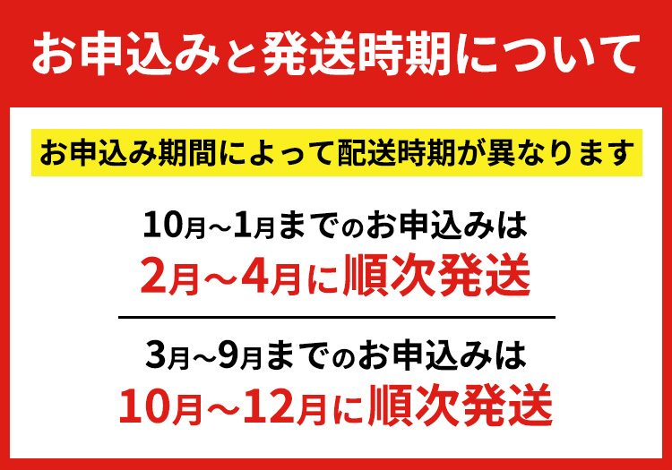 行者にんにく 苗根 10本（4年～5年物） ｜ にんにく ニンニク ガーリック 家庭菜園 栽培 野菜苗 野菜 薬味 料理 産地直送 那須 栃木県 那須町〔A-55〕