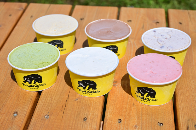 那須町産米粉から生まれたクラフトジェラート『たぬジェラ』12個セット〔C-83〕 | 栃木県 那須町 ジェラート アイス 氷菓 ※沖縄・離島への配送不可