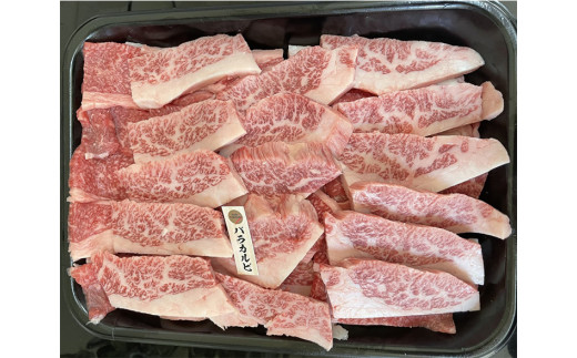 【冷凍】那須黒毛和牛焼肉用A5（並カルビ）〔B-1〕| 牛肉 国産 赤身 那須和牛 黒毛和牛 那須黒毛和牛 とちぎ和牛 栃木和牛 ブランド牛 A5 すき焼き しゃぶしゃぶ 焼肉 ステーキ 夜ご飯 夜ごはん 晩ご飯 晩ごはん お取り寄せグルメ お中元 御中元 お歳暮 贈答 贈り物 ギフト プレゼント 母の日 父の日 敬老の日 記念日 誕生日 お祝い 定期便 栃木県 那須町