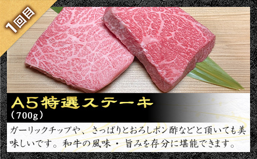 《定期便3回》A5等級 那須黒毛和牛 特選定期便 ステーキ 焼肉セット〔G-28〕| 牛肉 国産 赤身 那須和牛 黒毛和牛 那須黒毛和牛 とちぎ和牛 栃木和牛 ブランド牛 A5 すき焼き しゃぶしゃぶ 焼肉 ステーキ 夜ご飯 夜ごはん 晩ご飯 晩ごはん お取り寄せグルメ お中元 御中元 お歳暮 贈答 贈り物 ギフト プレゼント 母の日 父の日 敬老の日 記念日 誕生日 お祝い 定期便 栃木県 那須町