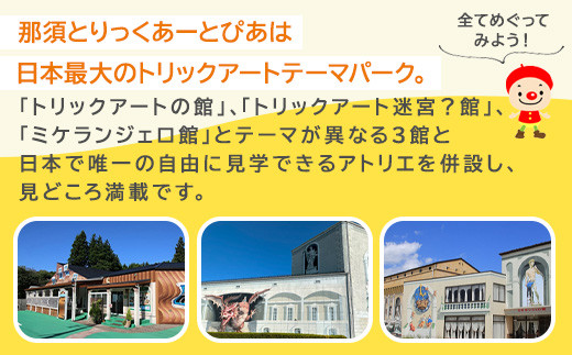 那須とりっくあーとぴあ 単館 入館券（大人2人 小人2人）｜ トリックアート チケット 券 入場券 観光 国内旅行 ファミリー 家族 那須 栃木県 那須町〔P-209〕