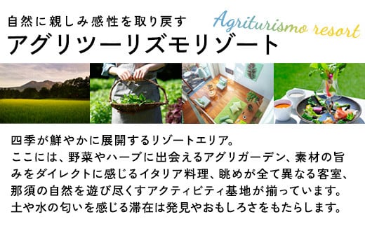 星野リゾート リゾナーレ那須 宿泊ギフト券（15,000円分）｜ 宿泊 旅行 チケット 宿泊券 旅行券 観光 国内旅行 那須 栃木県 那須町〔Ｐ-32〕※着日指定不可