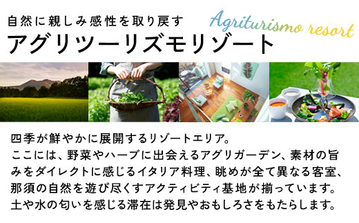 星野リゾート リゾナーレ那須 宿泊ギフト券（150,000円分）｜ 宿泊 旅行 チケット 宿泊券 旅行券 観光 国内旅行 那須 栃木県 那須町〔P-123〕※着日指定不可