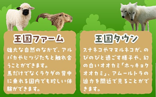 那須どうぶつ王国 ご招待券（大人2名 小人1名） ｜ 動物 動物園チケット 動物園 どうぶつえん チケット 券 入場券 入園券 観光 ファミリー 家族 お出かけ 旅行 栃木県 那須町〔P-154〕