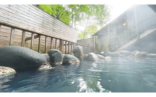 ホテル・フロラシオン那須 ご宿泊利用券45,000円分（3,000円×15枚） ｜ 宿泊 旅行 チケット 宿泊券 旅行券 温泉 露天風呂 ホテル 国内旅行 旅 リラックス 那須 栃木県〔H-16〕