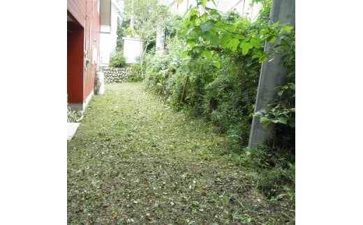 〔D-15〕空き家見守り・草刈りサービス　※お申込み前にお電話ください。