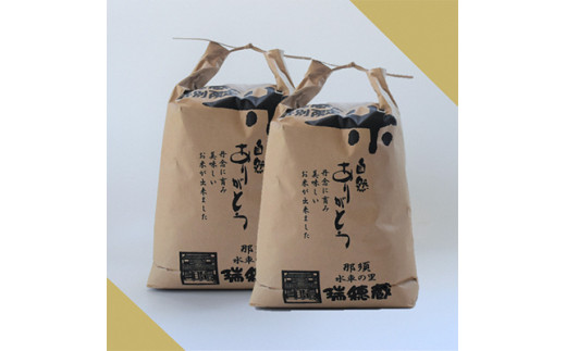 【定期便6ヶ月】那須町産コシヒカリ5kg×2袋〔P-279〕｜米 お米 国産 白米 ご飯 ごはん ゴハン 国産 那須 栃木県 那須町 水車の里 瑞穂蔵　※沖縄・離島への配送不可