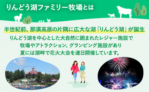 那須高原りんどう湖ファミリー牧場 乗り放題付 ペア入園券 チケット ちけっと 券 入場券 入園チケット 観光 レジャー ファミリー キッズ 家族旅行 スポット 栃木県 那須町〔D-40〕