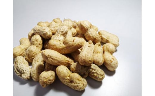大粒生落花生「おおまさり」3kg｜落花生 大粒 ピーナッツ おつまみ 国産 おやつ 冷蔵 那須 栃木県 那須町〔P-83〕 ※2025年9月上旬～10月下旬頃に順次発送予定