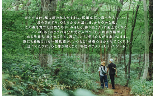 THE KEY HIGHLAND NASU　1泊2食付ペア宿泊券　洋室ツイン｜宿泊 旅行 チケット 宿泊券 チケット 旅行 ペア 那須高原〔P-77〕