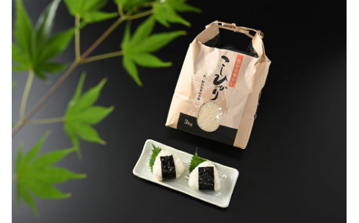 【令和6年産】那須町産こしひかり3kg お米 精米 国産 栃木県 那須町産 〔P-124〕