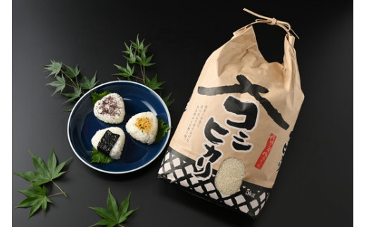 【令和6年産】那須町産こしひかり5kg お米 精米 国産 栃木県 那須町産 〔P-125〕