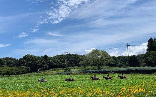 那須高原を馬とめぐる2時間のホーストレッキング 外乗ペア利用券【土日祝祭日大型連休中限定】チケット 利用券 ペア 体験 乗馬 初心者歓迎〔P-101〕