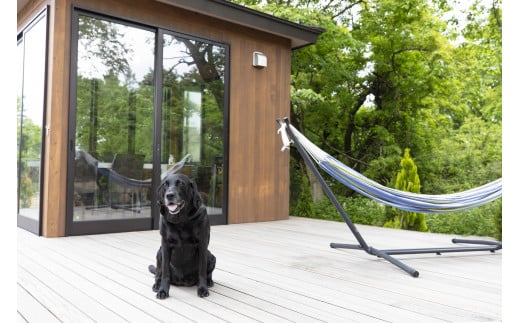 那須ハミルの森 宿泊利用券 (30,000円分) ｜グランピング ドームテント 宿泊 旅行 チケット 宿泊券 旅行券 国内旅行 アウトドア 自然 那須 栃木県 那須町〔G-20〕