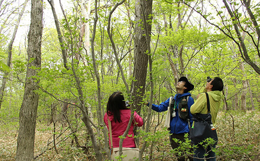 那須平成の森 プログラム 3,000円分利用券 ｜ 体験 遊び チケット 自然 金券 国内 那須 栃木県 那須町〔B-110〕