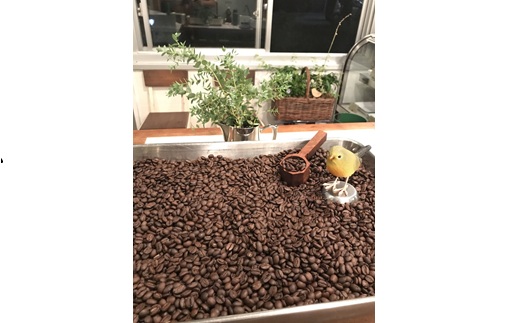 スペシャルティコーヒー飲み比べセット（100g×4種）｜ コーヒー コーヒー豆 珈琲 自家焙煎 飲み比べ 那須町 栃木県 〔P-347〕