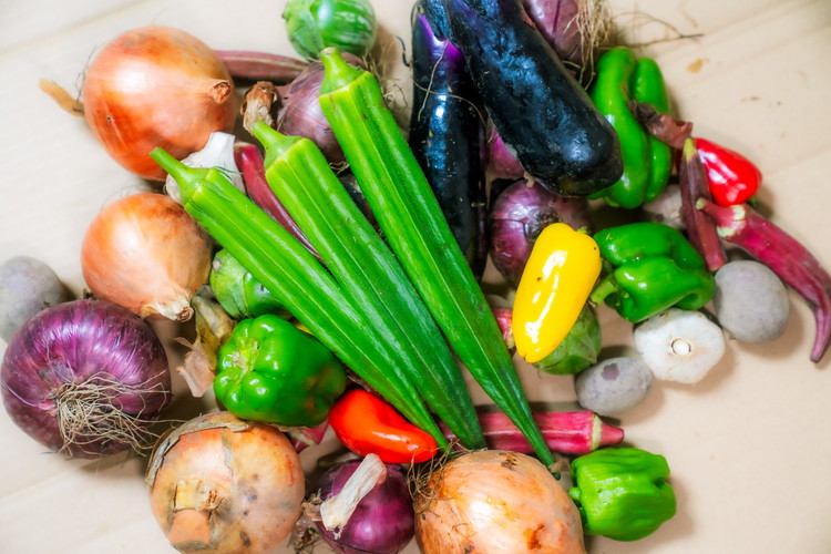 ＼食と元気を結ぶお手伝い／農村レストラン 飛火鞍 収穫体験＆発酵食ランチのお食事のペアチケット 〔D-85〕 | 野菜 やさい 収穫体験 ランチ 発酵食 体験 お食事券 農業体験 那須町 栃木県