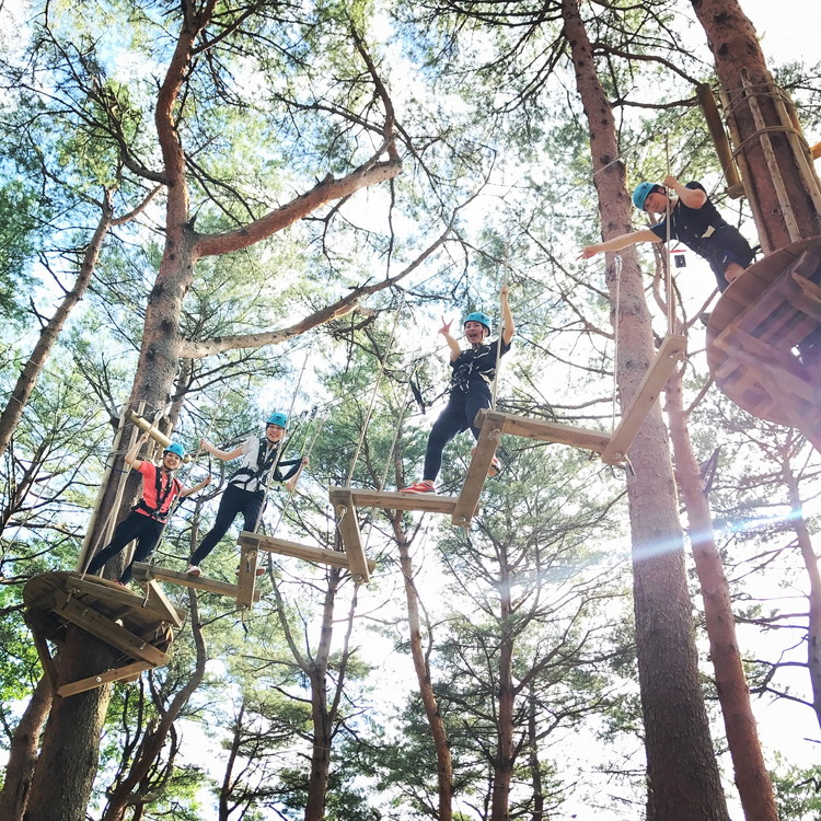 NOZARU KOZARU キツネノボリ 施設利用券3,000円分（3,000円×1枚）｜体験 アスレチック アクティビティ 遊び 観光 旅行 子供 チケット 那須 栃木県 那須町〔B-112〕