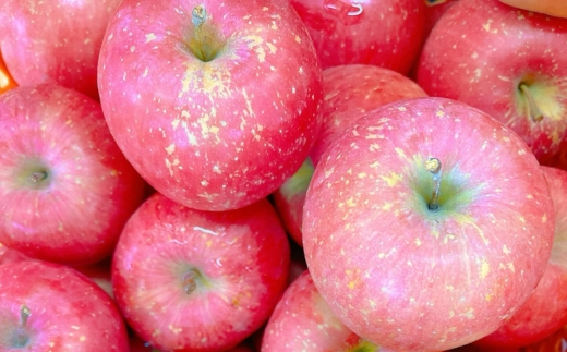 りんごふるふる飲むゼリー200ml×6本入〔P-232〕｜りんご 林檎 リンゴ ゼリー おいしい のむゼリー スイーツ セット 那須 大野りんご園 栃木県 那須町