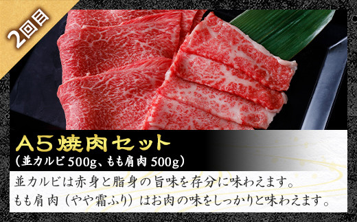《定期便3回》A5等級 那須黒毛和牛 特選定期便 ステーキ 焼肉セット〔G-28〕| 牛肉 国産 赤身 那須和牛 黒毛和牛 那須黒毛和牛 とちぎ和牛 栃木和牛 ブランド牛 A5 すき焼き しゃぶしゃぶ 焼肉 ステーキ 夜ご飯 夜ごはん 晩ご飯 晩ごはん お取り寄せグルメ お中元 御中元 お歳暮 贈答 贈り物 ギフト プレゼント 母の日 父の日 敬老の日 記念日 誕生日 お祝い 定期便 栃木県 那須町