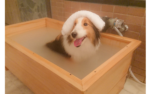 那須温泉宿ゆきみそう 本館ご宿泊券〔B-75〕