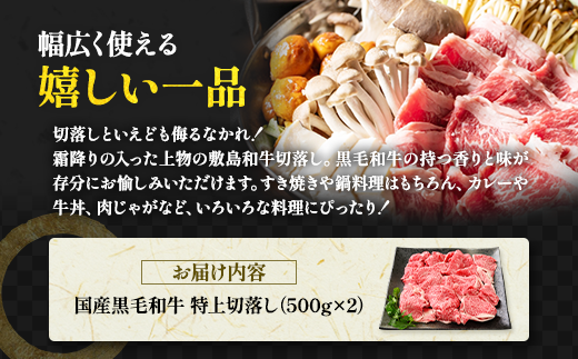 那須高原 敷島和牛特上切落し 1kg（500g×2）国産 黒毛和牛 切り落とし 国産牛 和牛 牛肉 お肉 肉 切り落し 小分け 冷凍 栃木県 那須町《敷島ファーム》〔C-57〕※着日指定不可※北海道・沖縄・離島への配送不可