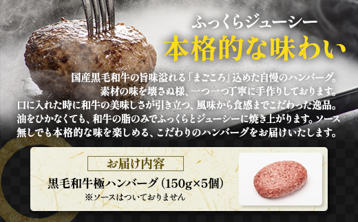 那須高原 敷島和牛手作りハンバーグ（150g×5個）計750g 小分け ハンバーグ 肉 お肉 牛肉 国産 黒毛和牛 冷凍 栃木県 那須町《敷島ファーム》〔B-82〕※着日指定不可※北海道・沖縄・離島への配送不可