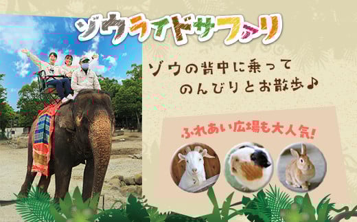 那須サファリパーク入園券セット 大人2名 子ども2名（入園＋ライオンバス＋エサやり）モンキーパーク割引チケット付き！動物 動物園チケット どうぶつえん チケット 券 入場券 入園券 エサやり ライオンバス付き 観光 ファミリー 栃木県 那須町〔P-160〕