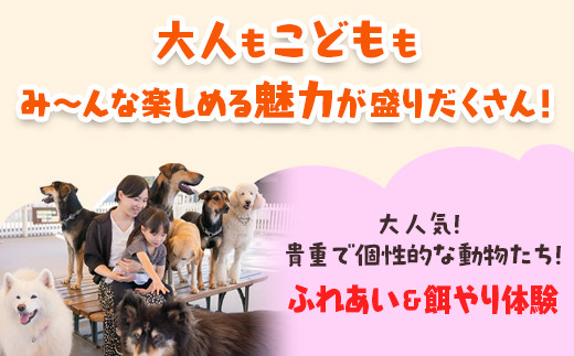 那須どうぶつ王国 ご招待券（大人2名 小人2名） ｜ 動物 動物園チケット 動物園 どうぶつえん チケット 券 入場券 入園券 観光 ファミリー 家族 お出かけ 旅行 栃木県 那須町〔P-155〕