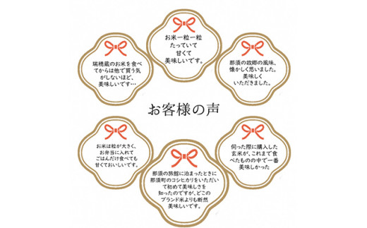 【定期便6ヶ月】那須町産コシヒカリ5kg×2袋〔P-279〕｜米 お米 国産 白米 ご飯 ごはん ゴハン 国産 那須 栃木県 那須町 水車の里 瑞穂蔵　※沖縄・離島への配送不可