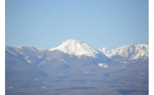 ふるさと那須町からの定期便「広報那須」1年分 ふるさと 定期便 広報 〔A-5〕