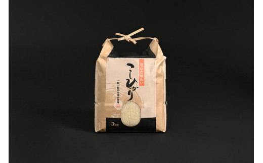 【令和6年産】那須町産こしひかり3kg お米 精米 国産 栃木県 那須町産 〔P-124〕