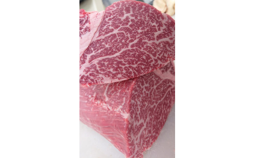 栃木県産那須の後藤牛ヒレまるごと1本分〔K-9〕