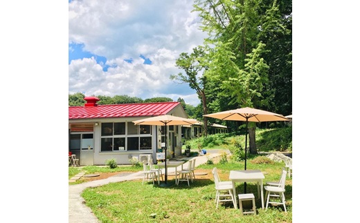 スペシャルティコーヒー飲み比べセット（100g×4種）｜ コーヒー コーヒー豆 珈琲 自家焙煎 飲み比べ 那須町 栃木県 〔P-347〕