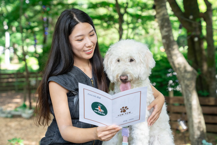 ホテル フォレストヒルズ那須 3,000円利用券 ｜ チケット 旅行 旅行券 利用券 観光 ペット 那須 栃木県 那須町〔B-132〕