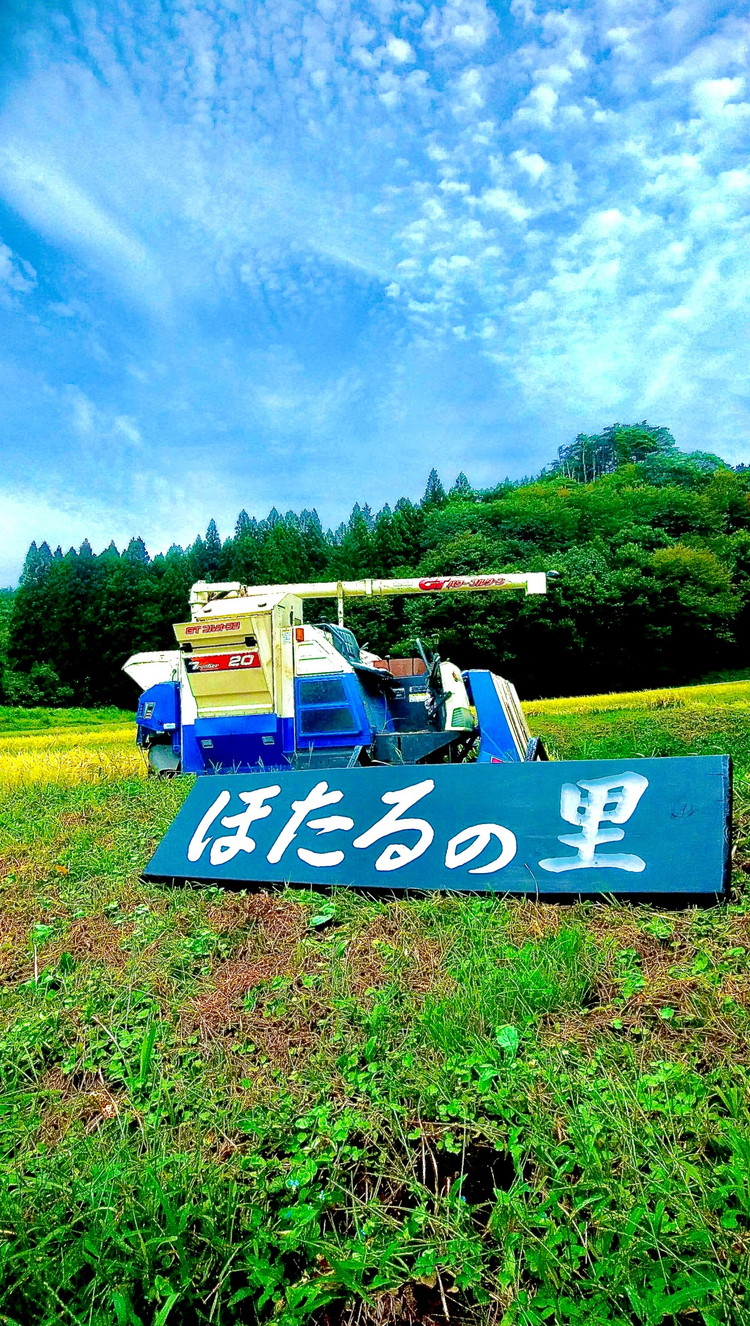 特別栽培のこしひかり【横岡米】那須ブランド認定品 上白米 3kg 〔P-405〕 | 特別栽培米 白米 精米 減農薬 健康 安心 ※離島への配送不可