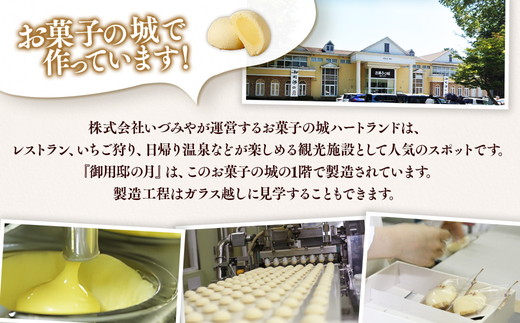 御用邸の月〔P-54〕≪お菓子 銘菓 スイーツ カステラ カスタード いづみや ギフト ≫