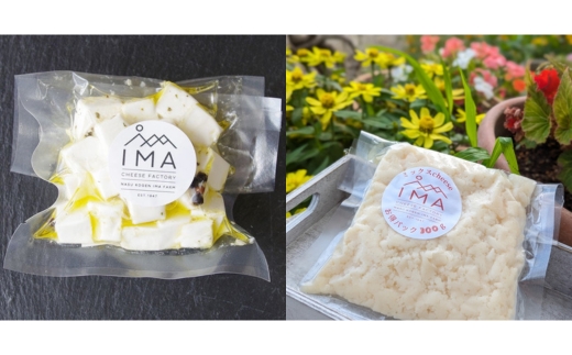 【定期便3ヵ月】今牧場の人気チーズ詰め合わせセット ｜ チーズ 食べ比べ セット おつまみ 晩酌 乳製品 那須 栃木県 那須町〔D-65〕