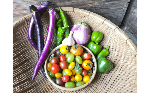 那須ブランド 那須高原野菜セット 野菜 お野菜 新鮮 詰め合わせ やさい みずみずしい 美味しい 自然 栃木県 那須町〔B-80〕※北海道・沖縄・離島への配送不可※2024年5月より順次発送予定