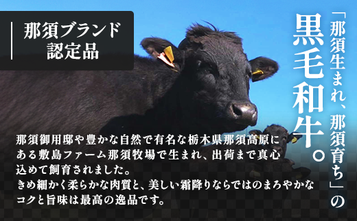 那須高原 敷島和牛 サーロイン・特上切り落としセット 計900g 国産 黒毛和牛 和牛 牛肉 お肉 肉 ステーキ サーロインステーキ 切り落とし ギフト お祝い 冷凍 栃木県 那須町《敷島ファーム》〔P-168〕※着日指定不可※離島への配送不可
