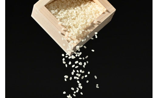 【令和7年産】水車の里　瑞穂蔵　那須町産コシヒカリ　20kg（10kg×2袋）〔P-275〕 ※沖縄・離島への配送不可