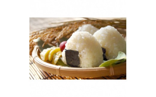 【定期便6ヶ月】那須町産コシヒカリ5kg×2袋〔P-279〕｜米 お米 国産 白米 ご飯 ごはん ゴハン 国産 那須 栃木県 那須町 水車の里 瑞穂蔵　※沖縄・離島への配送不可