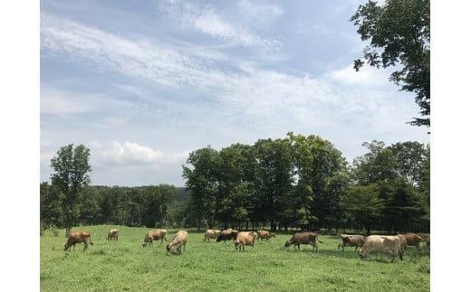 森林ノ牧場ミルクバー 10本（ソフトクリーム無料券付き） 【お中元】アイス 牛乳 ジャージー牛 無添加 スイーツ デザート お菓子 おかし セット 冷凍 栃木県 那須町 〔B-8〕