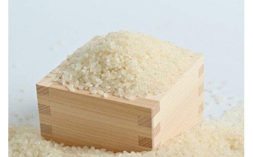 【令和6年産】那須町産こしひかり3kg お米 精米 国産 栃木県 那須町産 〔P-124〕