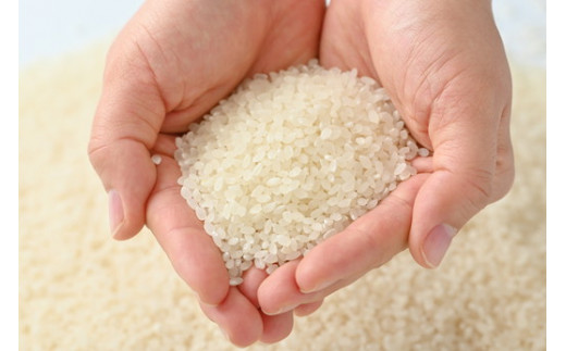 【令和6年産】那須町産こしひかり5kg お米 精米 国産 栃木県 那須町産 〔P-125〕