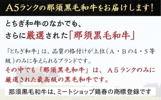 【定期便3ヵ月】A5等級 那須黒毛和牛 お手軽定期便 ｜ すき焼き しゃぶしゃぶ 焼肉用 霜降り上カルビ もも肩肉 ステーキ 小分けお肉少量 食べ切り 肉 国産 定期 高級 冷凍 那須 栃木県 那須町〔E-58〕
