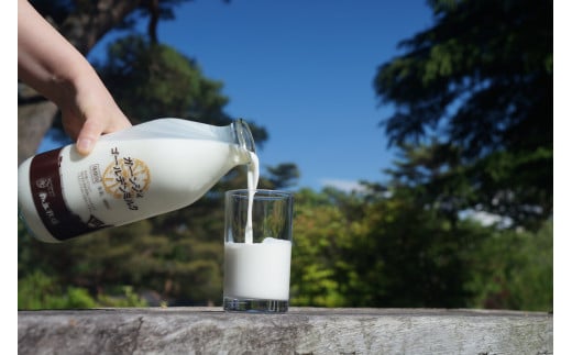 南ヶ丘牧場 アイスクリーム 6個セット バニラ 〔B-140〕 ｜ スイーツ アイス 高級アイス 乳牛 乳製品 ジェラート 人気 おすすめ 冷凍 那須 栃木県 那須町