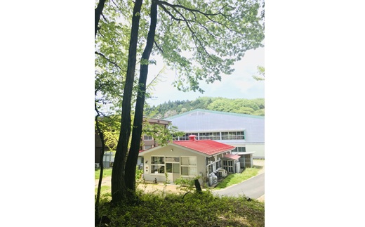 スペシャルティコーヒー飲み比べセット（100g×4種）｜ コーヒー コーヒー豆 珈琲 自家焙煎 飲み比べ 那須町 栃木県 〔P-347〕