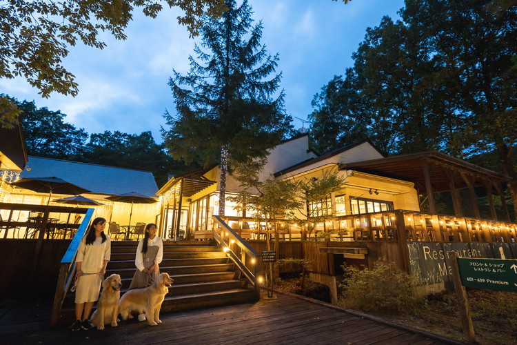 ホテル フォレストヒルズ那須 3,000円利用券 ｜ チケット 旅行 旅行券 利用券 観光 ペット 那須 栃木県 那須町〔B-132〕