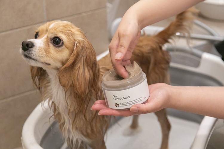 愛犬用 PAW PAW（パウパウ）お風呂エステ3点セット〔P-350〕